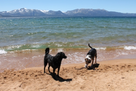 Slick and Parker in Tahoe