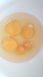 Look at the twin eggs!