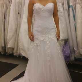 Shopping for wedding dresses